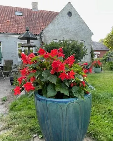 Guest house Aabels